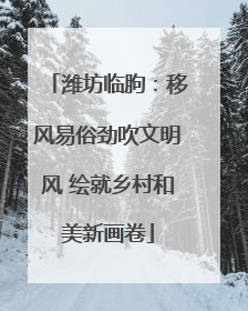 潍坊临朐：移风易俗劲吹文明风 绘就乡村和美新画卷
