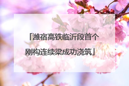 潍宿高铁临沂段首个刚构连续梁成功浇筑