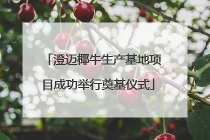 澄迈椰牛生产基地项目成功举行奠基仪式