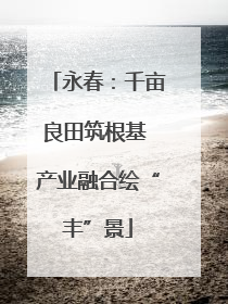 永春：千亩良田筑根基 产业融合绘“丰”景
