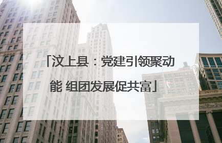 汶上县：党建引领聚动能 组团发展促共富