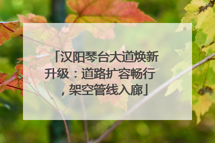 汉阳琴台大道焕新升级：道路扩容畅行，架空管线入廊
