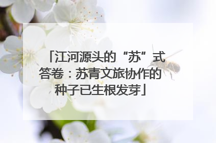 江河源头的“苏”式答卷：苏青文旅协作的种子已生根发芽