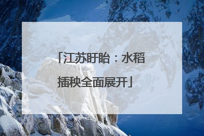 江苏盱眙：水稻插秧全面展开
