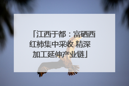江西于都：富硒西红柿集中采收 精深加工延伸产业链