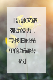 沂源文旅强劲发力：寻找旧时光里的新潮密码