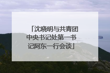沈晓明与共青团中央书记处第一书记阿东一行会谈