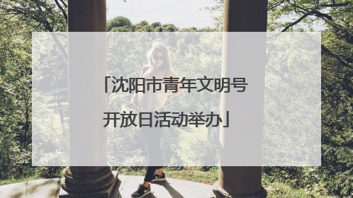 沈阳市青年文明号开放日活动举办