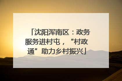 沈阳浑南区：政务服务进村屯，“村政通”助力乡村振兴