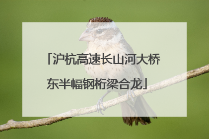 沪杭高速长山河大桥东半幅钢桁梁合龙