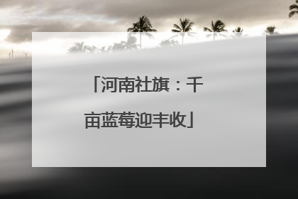 河南社旗：千亩蓝莓迎丰收