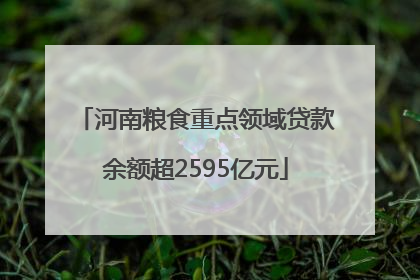 河南粮食重点领域贷款余额超2595亿元