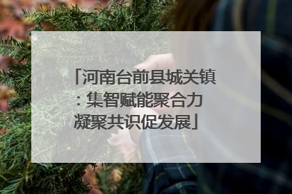 河南台前县城关镇：集智赋能聚合力 凝聚共识促发展