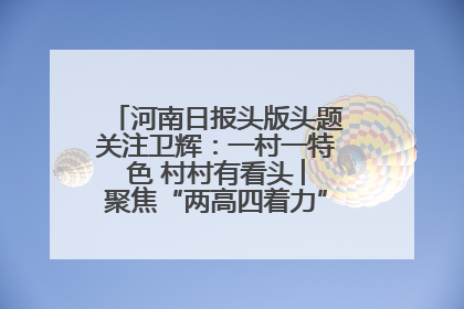 河南日报头版头题关注卫辉：一村一特色 村村有看头 ︳聚焦“两高四着力”·一“县”观察