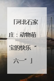 河北石家庄：动物萌宝的快乐“六一”