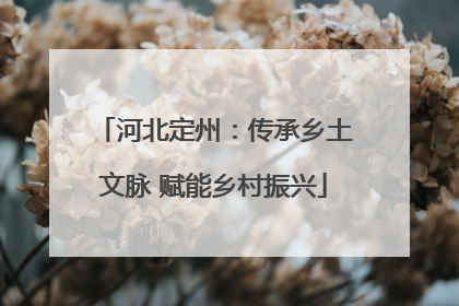 河北定州：传承乡土文脉 赋能乡村振兴