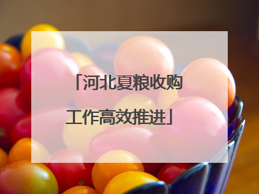 河北夏粮收购工作高效推进