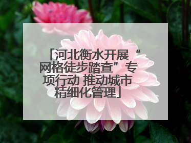 河北衡水开展“网格徒步踏查”专项行动 推动城市精细化管理