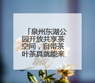 泉州东湖公园开放共享茶空间，自带茶叶茶具就能来！