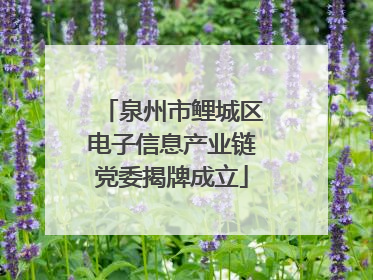 泉州市鲤城区电子信息产业链党委揭牌成立
