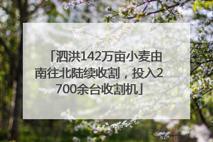 泗洪142万亩小麦由南往北陆续收割，投入2700余台收割机