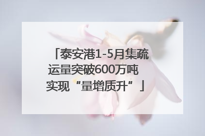 泰安港1-5月集疏运量突破600万吨 实现“量增质升”