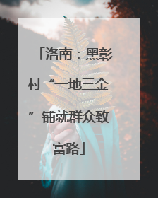 洛南：黑彰村“一地三金”铺就群众致富路