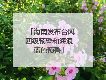 海南发布台风四级预警和海浪蓝色预警