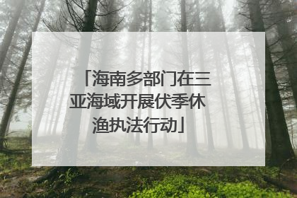 海南多部门在三亚海域开展伏季休渔执法行动