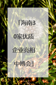 海南30家优质企业亮相中博会