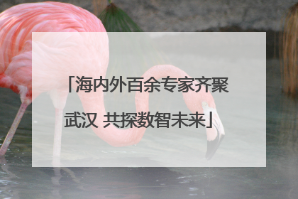 海内外百余专家齐聚武汉 共探数智未来