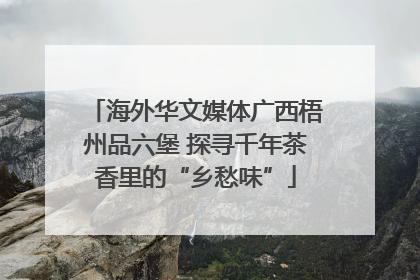 海外华文媒体广西梧州品六堡 探寻千年茶香里的“乡愁味”
