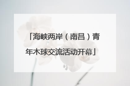 海峡两岸（南昌）青年木球交流活动开幕