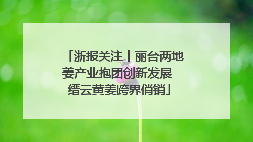 浙报关注丨丽台两地姜产业抱团创新发展 缙云黄姜跨界俏销