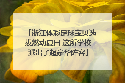浙江体彩足球宝贝选拔燃动夏日 这所学校派出了超豪华阵容