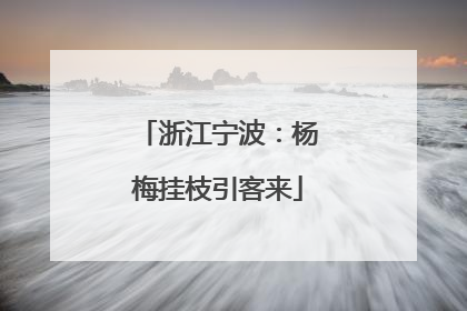 浙江宁波：杨梅挂枝引客来