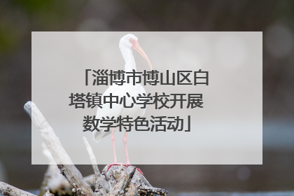 淄博市博山区白塔镇中心学校开展数学特色活动