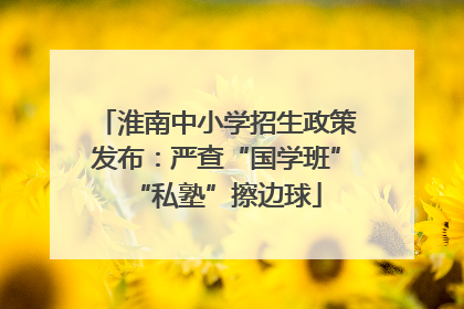 淮南中小学招生政策发布：严查“国学班”“私塾”擦边球