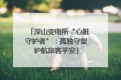 深山变电所“心脏守护者”：孤独守望护航旅客平安