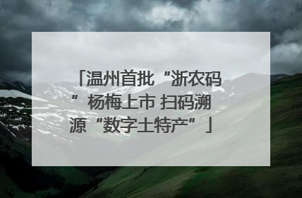 温州首批“浙农码”杨梅上市 扫码溯源“数字土特产”