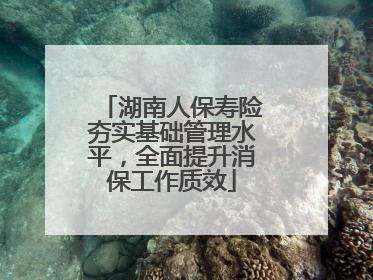湖南人保寿险夯实基础管理水平，全面提升消保工作质效