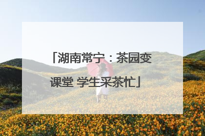 湖南常宁：茶园变课堂 学生采茶忙