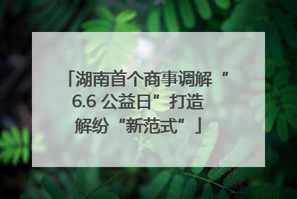 湖南首个商事调解“6.6 公益日”打造解纷“新范式”