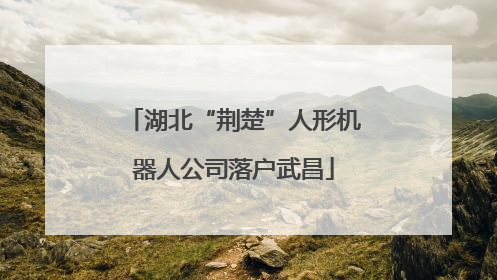 湖北“荆楚”人形机器人公司落户武昌