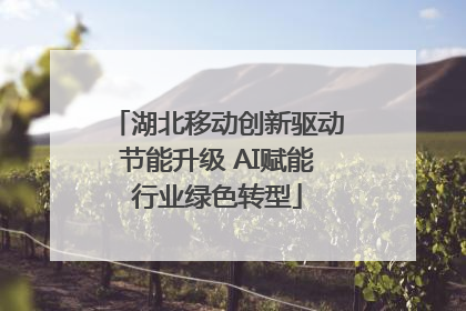 湖北移动创新驱动节能升级 AI赋能行业绿色转型