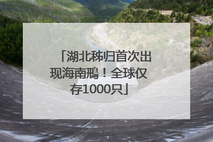 湖北秭归首次出现海南鳽！全球仅存1000只