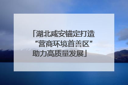 湖北咸安锚定打造“营商环境首善区”助力高质量发展