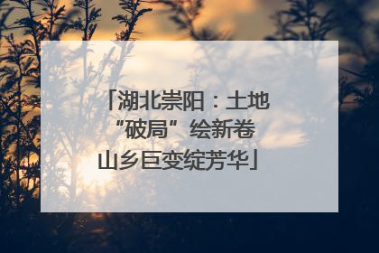 湖北崇阳：土地“破局”绘新卷 山乡巨变绽芳华