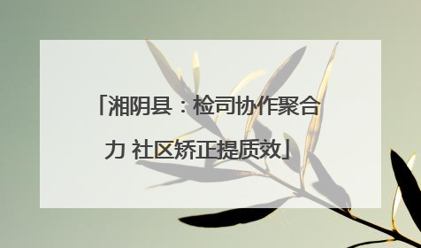 湘阴县：检司协作聚合力 社区矫正提质效
