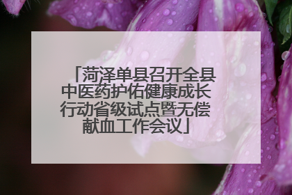 菏泽单县召开全县中医药护佑健康成长行动省级试点暨无偿献血工作会议
